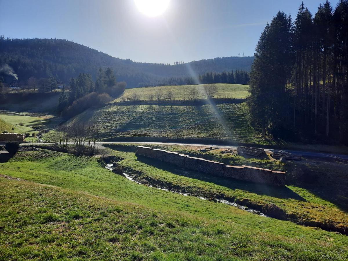 Ferienwohnung Sprauer Baiersbronn Exteriör bild